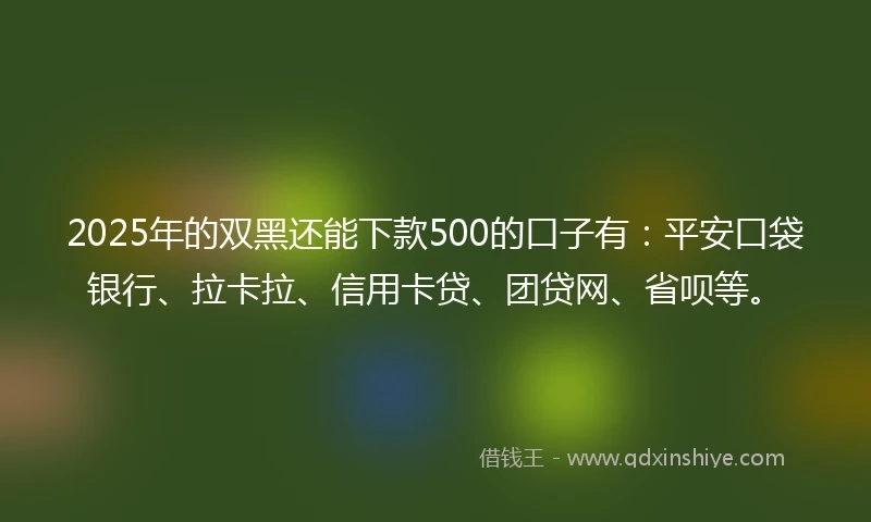 2025年的双黑还能下款500的口子有：平安口袋银行、拉卡拉、信用卡贷、团贷网、省呗等。