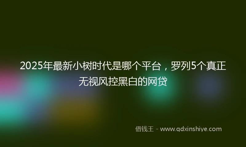 2025年最新小树时代是哪个平台，罗列5个真正无视风控黑白的网贷