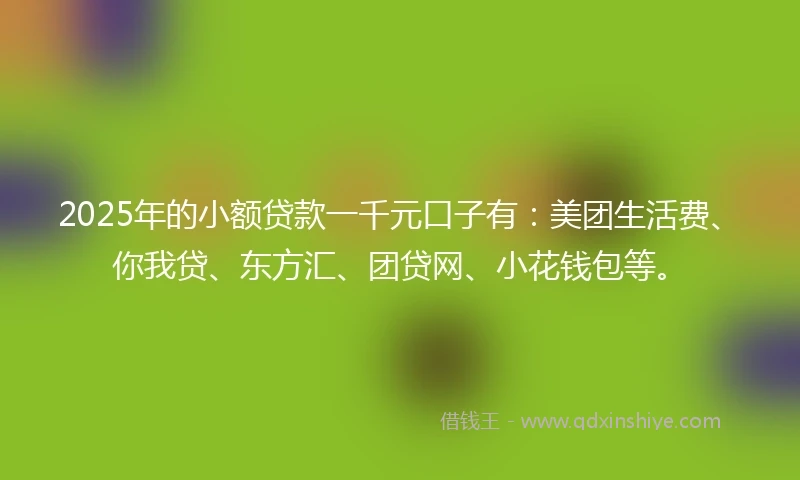 2025年的小额贷款一千元口子有：美团生活费、你我贷、东方汇、团贷网、小花钱包等。