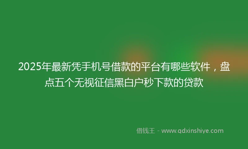 2025年最新凭手机号借款的平台有哪些软件，盘点五个无视征信黑白户秒下款的贷款