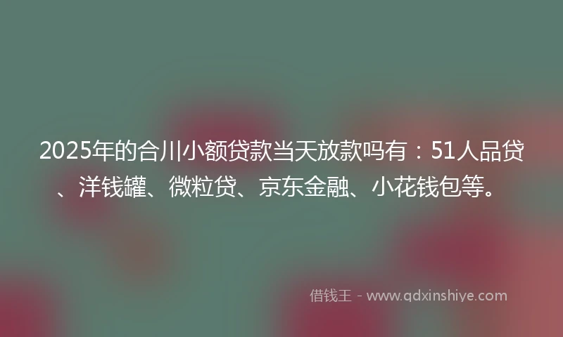 2025年的合川小额贷款当天放款吗有：51人品贷、洋钱罐、微粒贷、京东金融、小花钱包等。