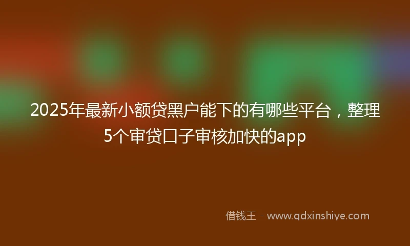 2025年最新小额贷黑户能下的有哪些平台，整理5个审贷口子审核加快的app