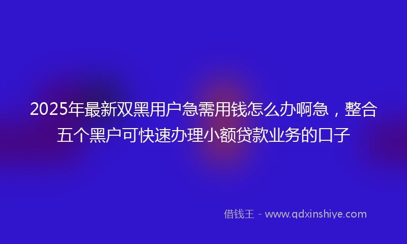 2025年最新双黑用户急需用钱怎么办啊急，整合五个黑户可快速办理小额贷款业务的口子