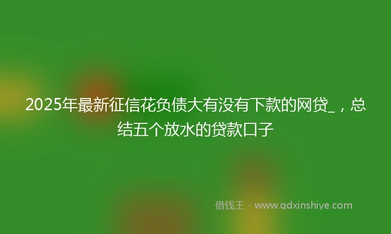 2025年最新征信花负债大有没有下款的网贷_，总结五个放水的贷款口子