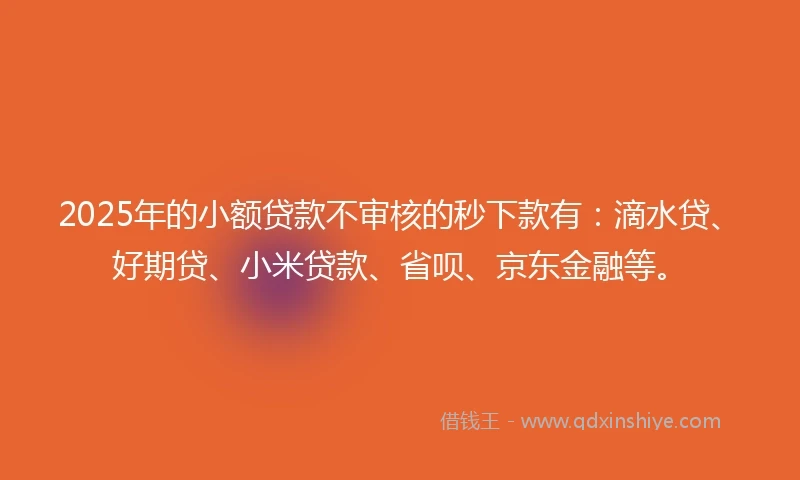 2025年的小额贷款不审核的秒下款有：滴水贷、好期贷、小米贷款、省呗、京东金融等。