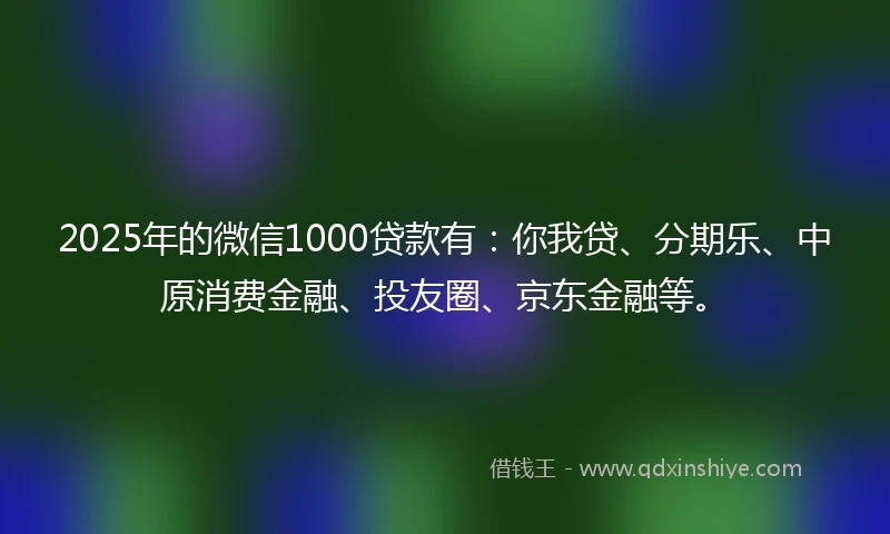 2025年的微信1000贷款有：你我贷、分期乐、中原消费金融、投友圈、京东金融等。