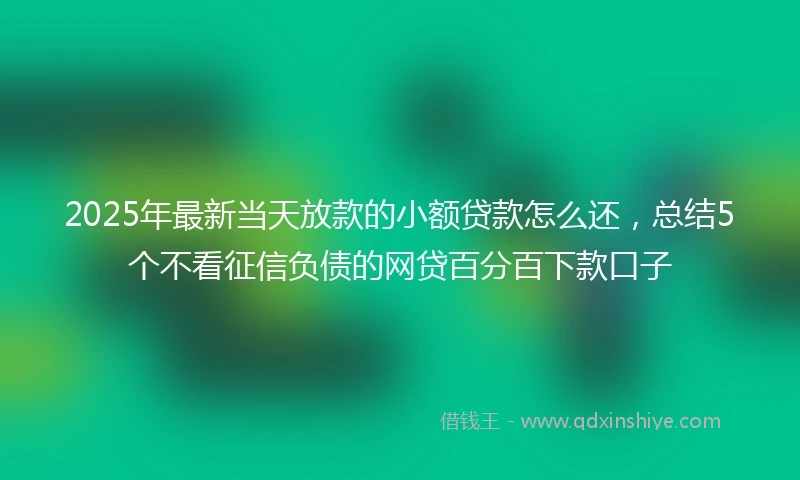 2025年最新当天放款的小额贷款怎么还，总结5个不看征信负债的网贷百分百下款口子