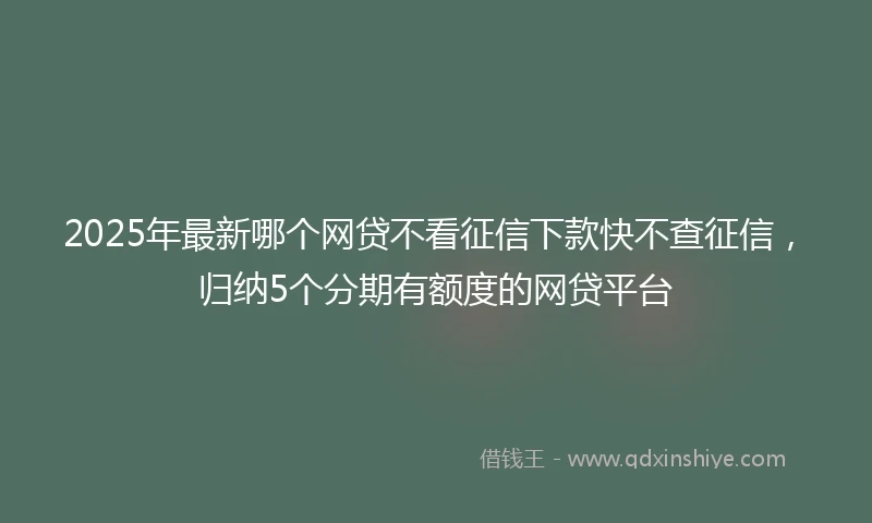 2025年最新哪个网贷不看征信下款快不查征信，归纳5个分期有额度的网贷平台