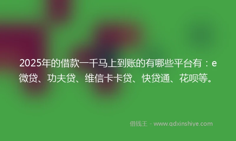 2025年的借款一千马上到账的有哪些平台有：e微贷、功夫贷、维信卡卡贷、快贷通、花呗等。