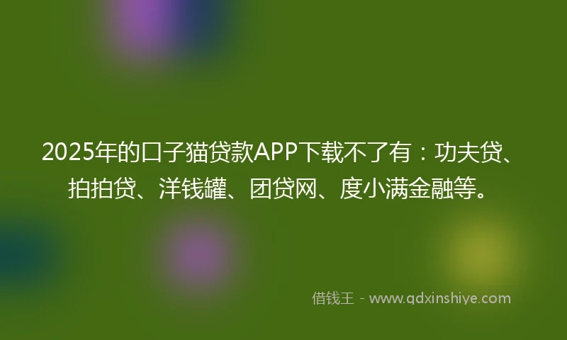 2025年的口子猫贷款APP下载不了有：功夫贷、拍拍贷、洋钱罐、团贷网、度小满金融等。