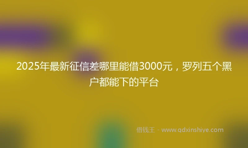 2025年最新征信差哪里能借3000元，罗列五个黑户都能下的平台