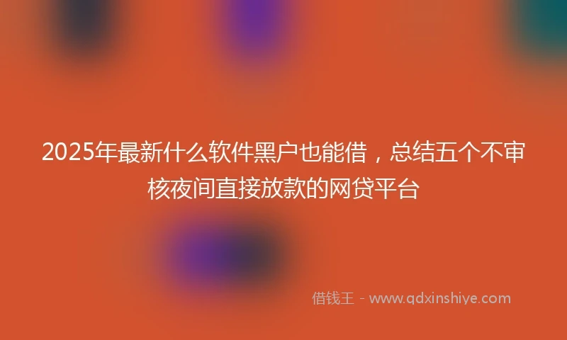 2025年最新什么软件黑户也能借，总结五个不审核夜间直接放款的网贷平台