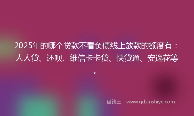 2025年的哪个贷款不看负债线上放款的额度有：人人贷、还呗、维信卡卡贷、快贷通、安逸花等。