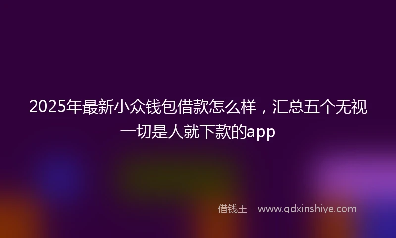2025年最新小众钱包借款怎么样，汇总五个无视一切是人就下款的app
