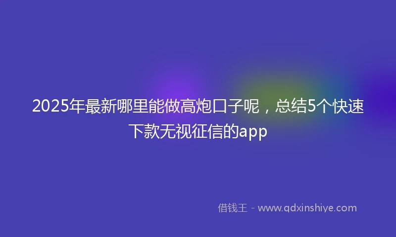 2025年最新哪里能做高炮口子呢，总结5个快速下款无视征信的app