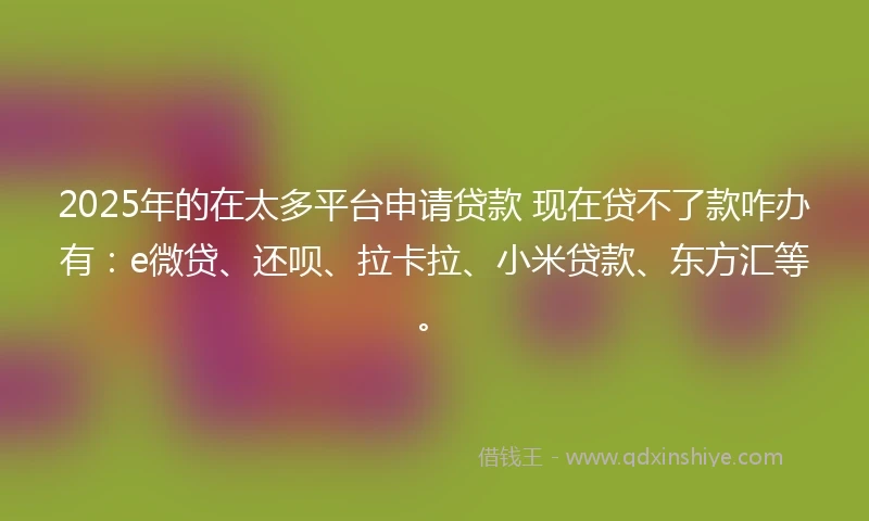2025年的在太多平台申请贷款 现在贷不了款咋办有：e微贷、还呗、拉卡拉、小米贷款、东方汇等。
