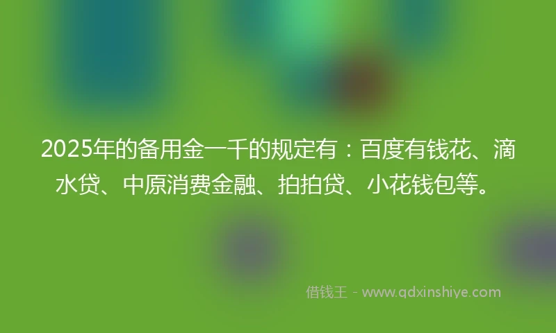 2025年的备用金一千的规定有：百度有钱花、滴水贷、中原消费金融、拍拍贷、小花钱包等。