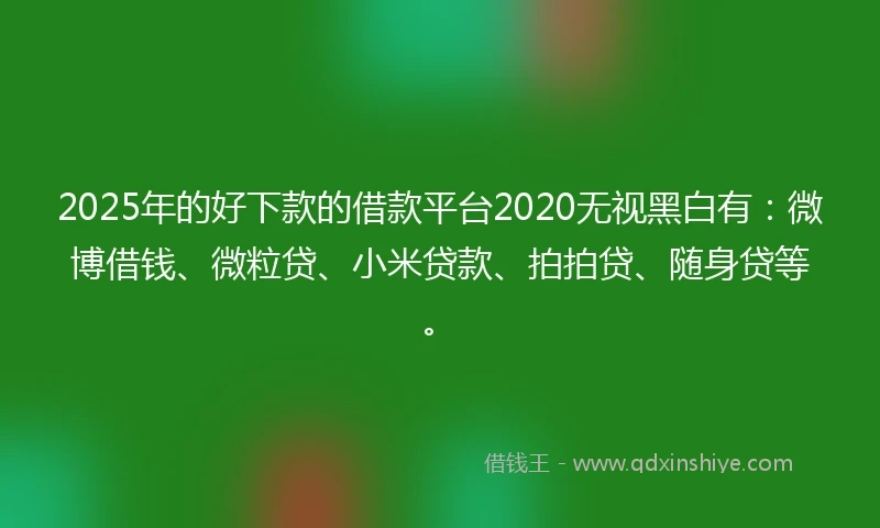 2025年的好下款的借款平台2020无视黑白有：微博借钱、微粒贷、小米贷款、拍拍贷、随身贷等。