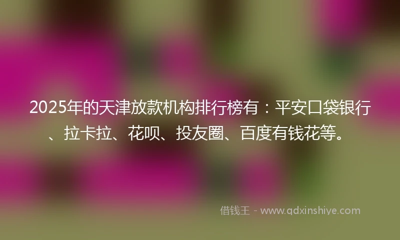 2025年的天津放款机构排行榜有：平安口袋银行、拉卡拉、花呗、投友圈、百度有钱花等。