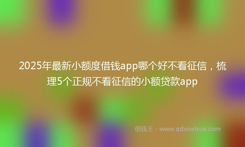2025年最新小额度借钱app哪个好不看征信，梳理5个正规不看征信的小额贷款app