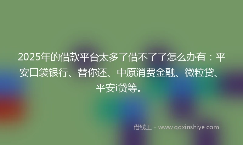 2025年的借款平台太多了借不了了怎么办有：平安口袋银行、替你还、中原消费金融、微粒贷、平安i贷等。