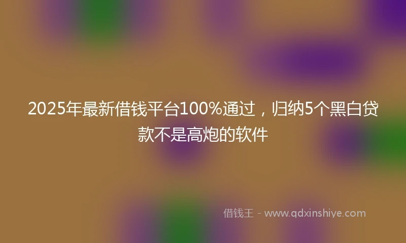 2025年最新借钱平台100%通过，归纳5个黑白贷款不是高炮的软件