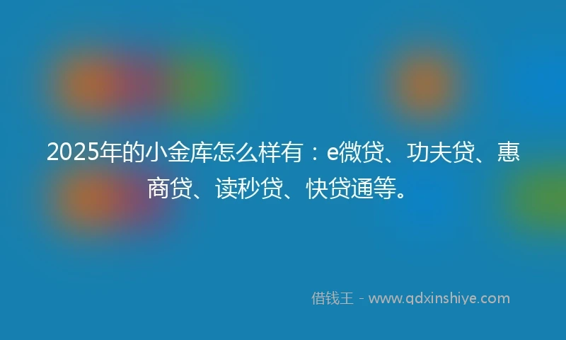 2025年的小金库怎么样有：e微贷、功夫贷、惠商贷、读秒贷、快贷通等。