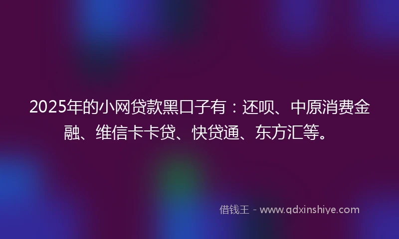 2025年的小网贷款黑口子有：还呗、中原消费金融、维信卡卡贷、快贷通、东方汇等。