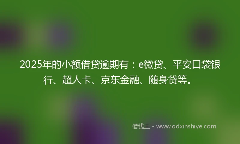 2025年的小额借贷逾期有：e微贷、平安口袋银行、超人卡、京东金融、随身贷等。