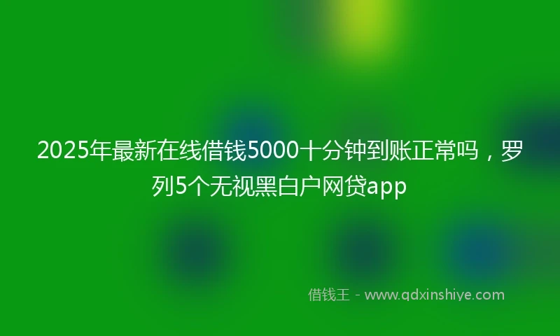 2025年最新在线借钱5000十分钟到账正常吗，罗列5个无视黑白户网贷app