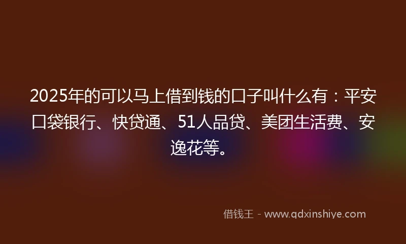 2025年的可以马上借到钱的口子叫什么有：平安口袋银行、快贷通、51人品贷、美团生活费、安逸花等。