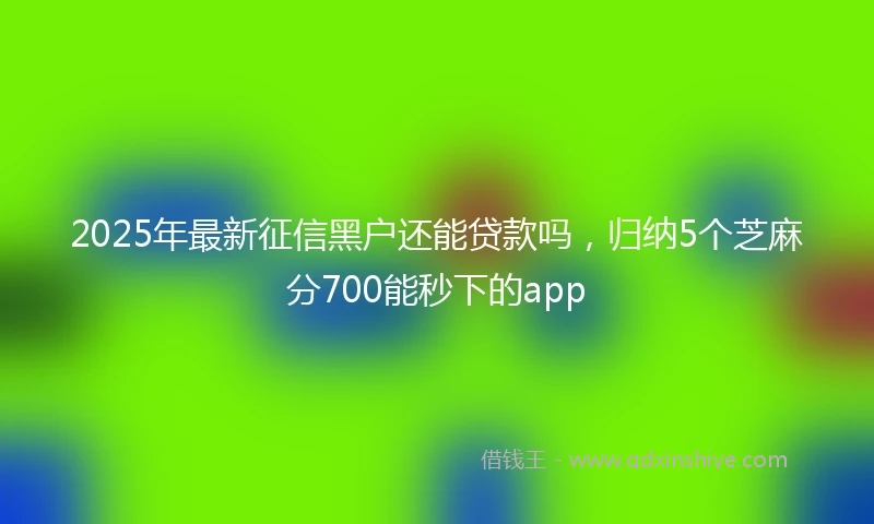2025年最新征信黑户还能贷款吗，归纳5个芝麻分700能秒下的app