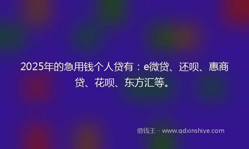 2025年的急用钱个人贷有：e微贷、还呗、惠商贷、花呗、东方汇等。