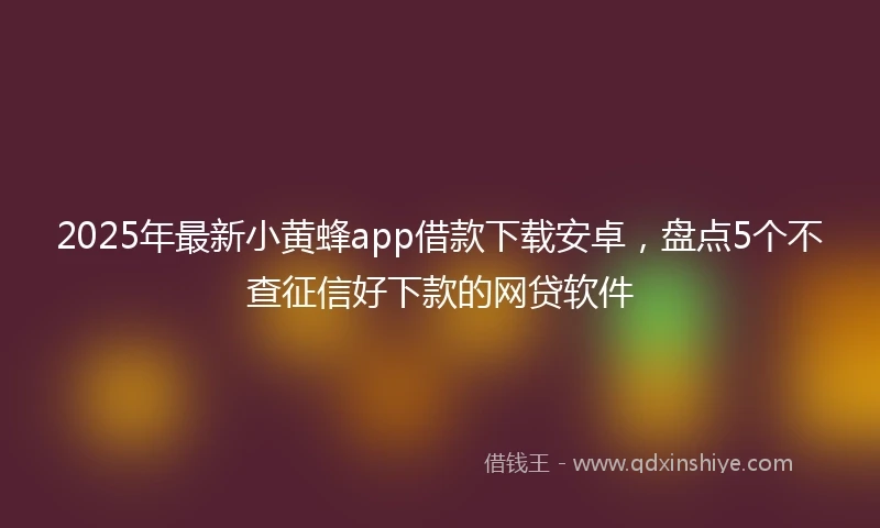 2025年最新小黄蜂app借款下载安卓，盘点5个不查征信好下款的网贷软件