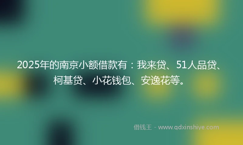 2025年的南京小额借款有：我来贷、51人品贷、柯基贷、小花钱包、安逸花等。