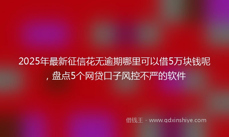 2025年最新征信花无逾期哪里可以借5万块钱呢，盘点5个网贷口子风控不严的软件