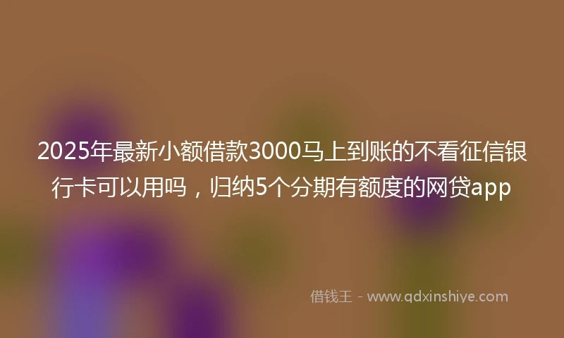 2025年最新小额借款3000马上到账的不看征信银行卡可以用吗，归纳5个分期有额度的网贷app