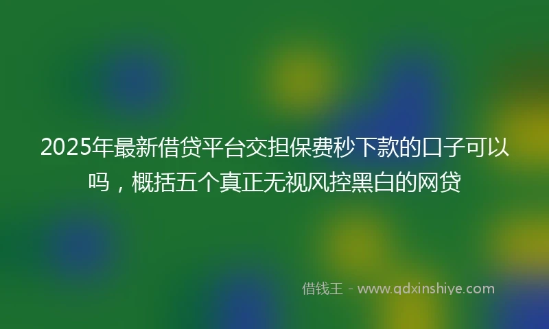 2025年最新借贷平台交担保费秒下款的口子可以吗，概括五个真正无视风控黑白的网贷