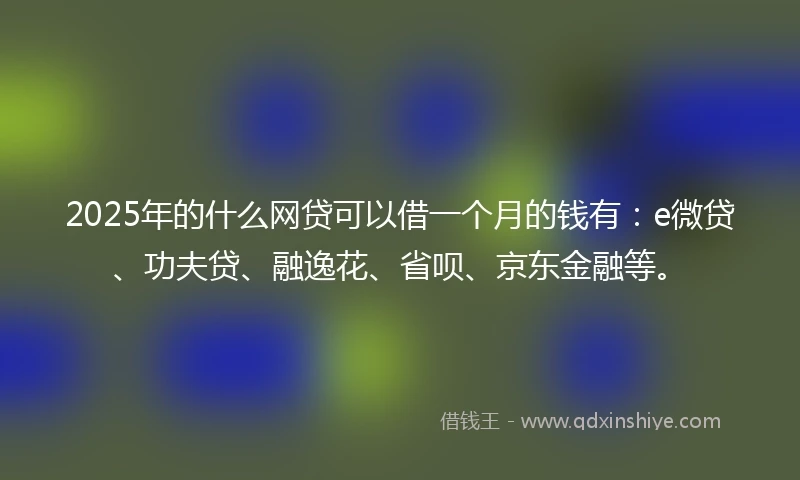 2025年的什么网贷可以借一个月的钱有：e微贷、功夫贷、融逸花、省呗、京东金融等。