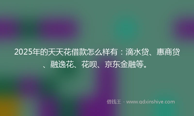 2025年的天天花借款怎么样有：滴水贷、惠商贷、融逸花、花呗、京东金融等。