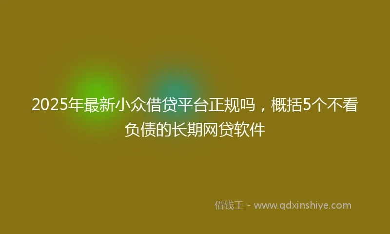 2025年最新小众借贷平台正规吗，概括5个不看负债的长期网贷软件