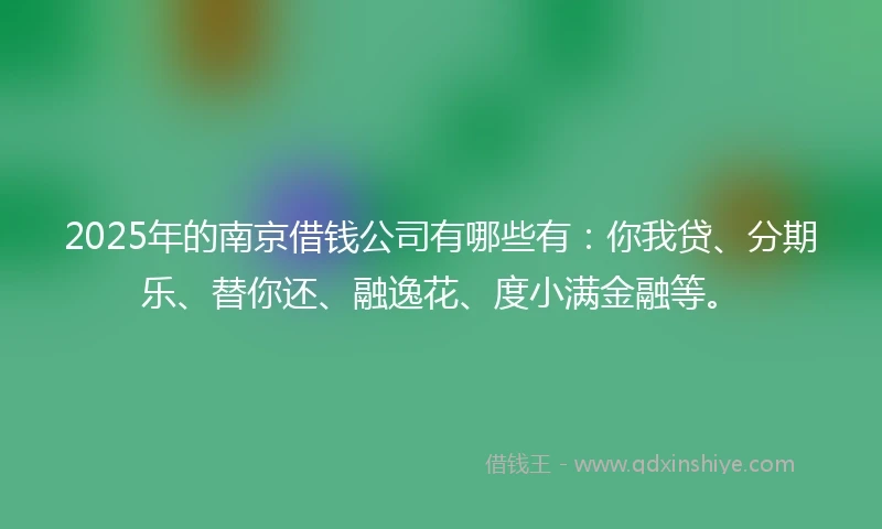 2025年的南京借钱公司有哪些有：你我贷、分期乐、替你还、融逸花、度小满金融等。