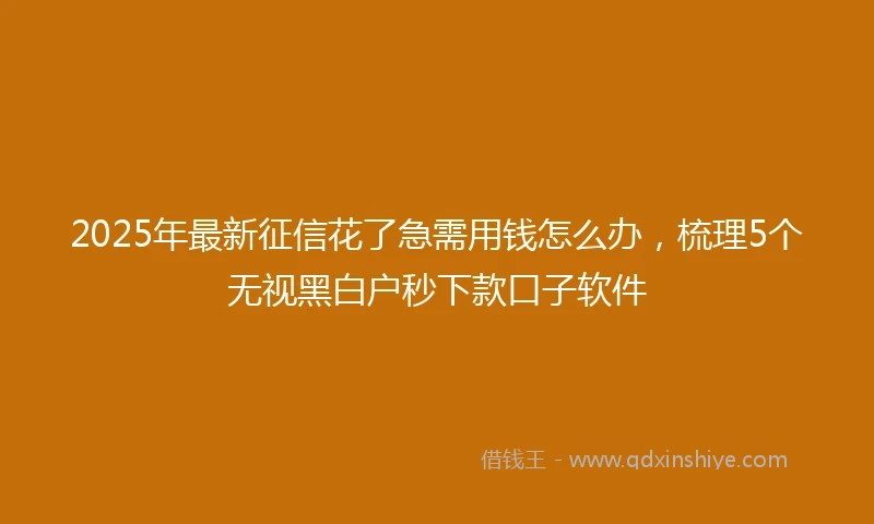 2025年最新征信花了急需用钱怎么办，梳理5个无视黑白户秒下款口子软件