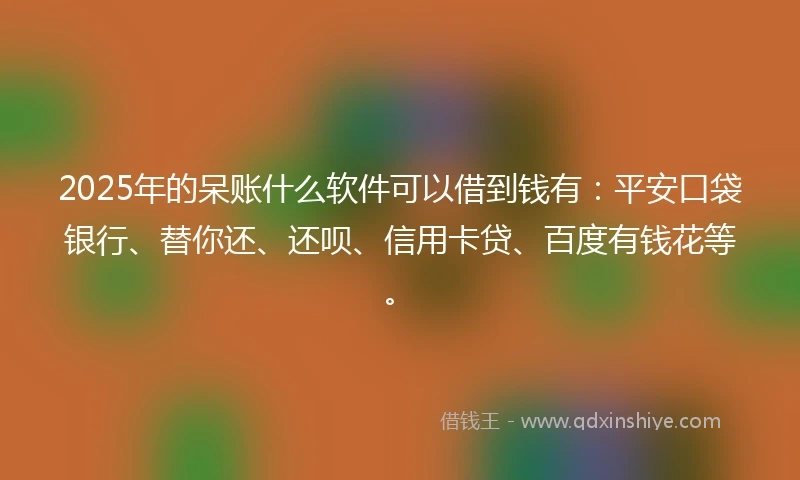 2025年的呆账什么软件可以借到钱有：平安口袋银行、替你还、还呗、信用卡贷、百度有钱花等。