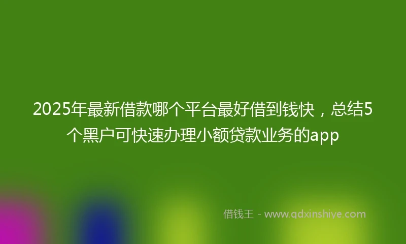 2025年最新借款哪个平台最好借到钱快，总结5个黑户可快速办理小额贷款业务的app