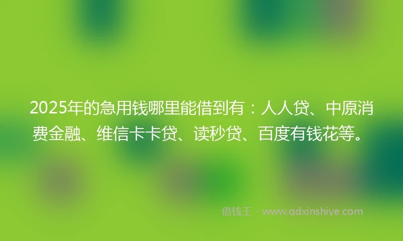 2025年的急用钱哪里能借到有：人人贷、中原消费金融、维信卡卡贷、读秒贷、百度有钱花等。
