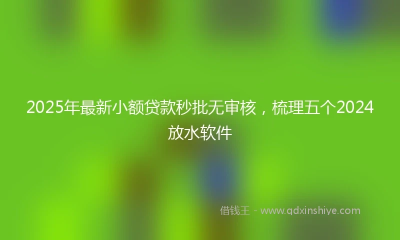 2025年最新小额贷款秒批无审核，梳理五个2024放水软件