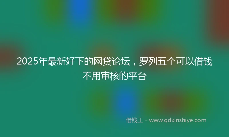 2025年最新好下的网贷论坛，罗列五个可以借钱不用审核的平台