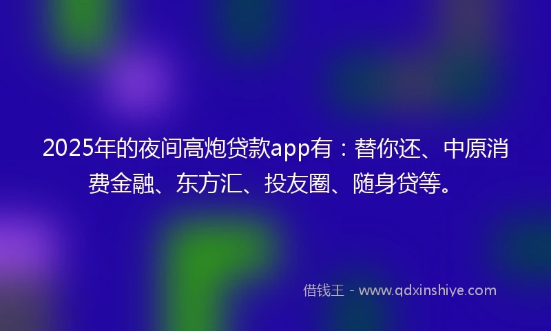 2025年的夜间高炮贷款app有：替你还、中原消费金融、东方汇、投友圈、随身贷等。