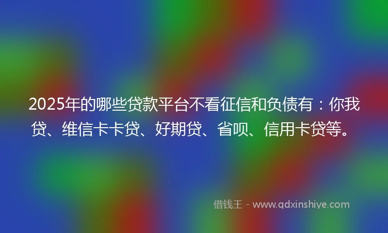 2025年的哪些贷款平台不看征信和负债有：你我贷、维信卡卡贷、好期贷、省呗、信用卡贷等。